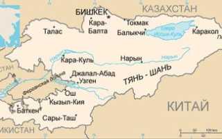 Прием и отказ от гражданства Киргизии для россиян