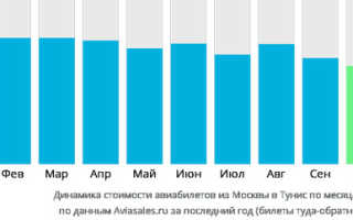 Сколько лететь до Туниса из Москвы прямым рейсом? Время перелета