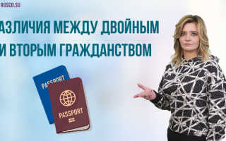 Двойное гражданство в России запрещено в 2022 году