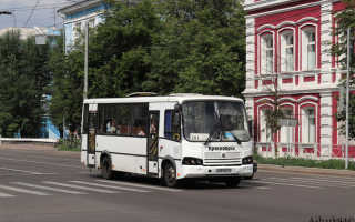 Автобус Красноярск – аэропорт Емельяново: расписание стоимость