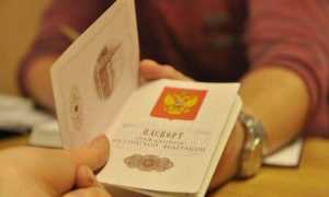 Заявление на гражданство РФ: образец заполнения бланка заявления, порядок получения российского паспорта