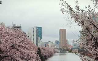 Самые интересные города Японии: список, куда поехать – 2022