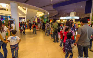 Океанариум в Бангкоке: цена, фото, описание Siam Ocean World