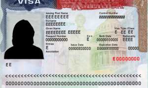 Виза в США для россиян в 2022 году: как получить визу в Америку, документы, стоимость, сроки, отзывы
