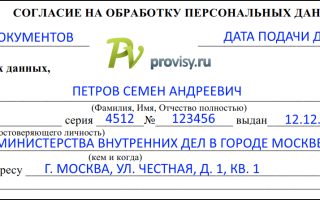 Как написать согласие на обработку персональных данных для шенгенской визы