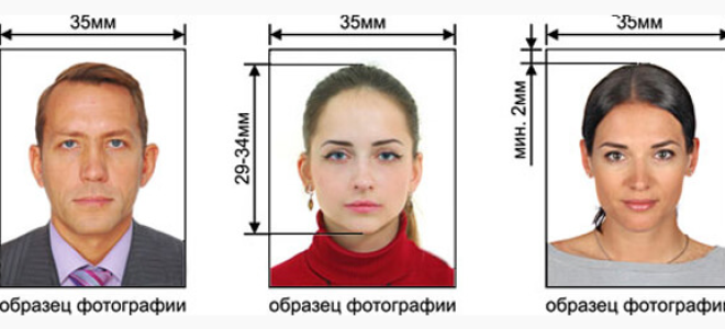 Как отредактировать  фото на загранпаспорт онлайн