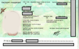 Как гражданину Казахстана получить российское гражданство: способы и пути эмиграции на ПМЖ, документы, стоит ли переезжать + отзывы о жизни
