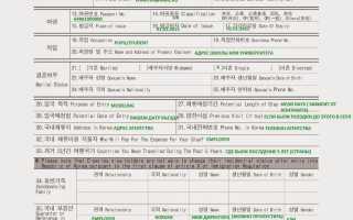 Рабочая виза в Корею — особенности, порядок оформления