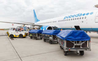 Багаж и ручная кладь авиакомпании-лоукостера Ryanair в 2022 году