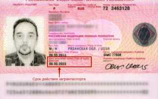 Срок действия загранпаспорта для выезда за рубеж: сколько должен действовать паспорт для разных стран, как проверить