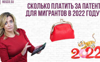 Изменение трудового патента  в 2022 году – на работу иностранного гражданина, украинцам