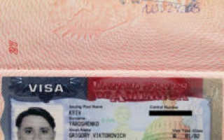 Неиммиграционные визы могут выдаваться в нескольких целях