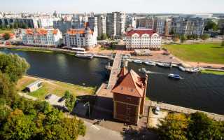 Переезд в Калининград на ПМЖ: отзывы переехавших, цены на недвижимость и зарплаты