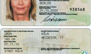 Признает ли Россия двойное гражданство с Германией — можно ли получить второй паспорт на законных основаниях