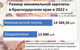 Зарплата в Краснодаре в 2022 году: Размер выплат, средний показатель по профессиям