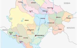 Востребованные профессии и этапы трудоустройства в Черногории в 2022 году