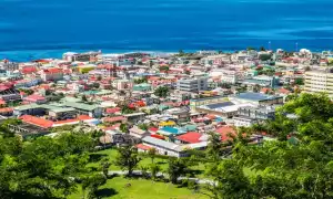Двойное гражданство Доминика: как получить, документы
