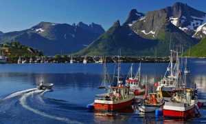 Поиск и устройство на работу в Норвегии: как найти своё место в чужой стране