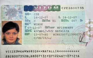 Требования на фото для шенгенской визы в Чехию в 2022 году