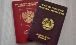 Как быстро гражданину Таджикистана получить гражданство России в 2022 году