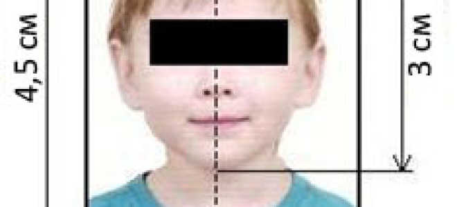 Виза в Хорватию самостоятельно: документы, стоимость, сроки, фото