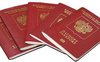 Виды, особенности и перспективы оформления заграничных паспортов в РФ