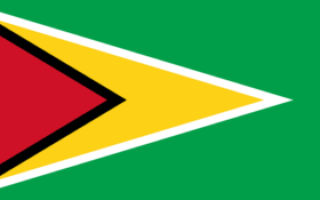 Рабочая виза в Гайану – Как получить рабочую визу в Гайану