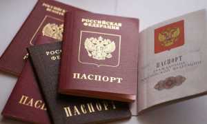 Как проверить готовность паспорта гражданина РФ, узнать о готовности, онлайн