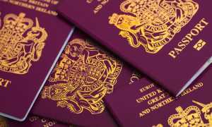 Иммиграция родственников в Великобританию