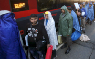 Украинские беженцы в Польше, статус и перспективы