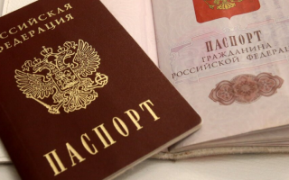 Замена паспорта через госуслуги в 2022 году: инструкция