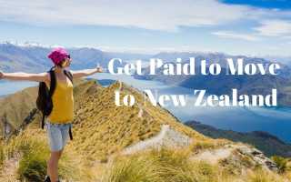 Список профессий для иммиграции в Новую Зеландию в 2022 году — рассказываем все нюансы