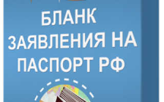 Заявление на замену паспорта: как выглядит