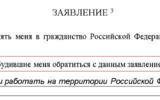 Новые образцы бланков на гражданство РФ в 2022 году: особенности , общие правила заполнения, сопутствующие документы