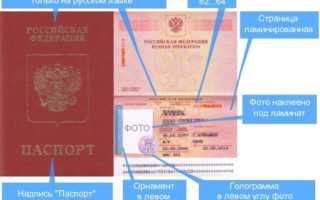В чем плюсы и как оформить загранпаспорт старого образца для граждан России?