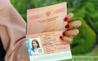 Требования к паспорту для шенгенской визы: срок действия загранки