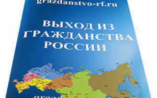 Порядок выхода из гражданства РФ: общий и упрощённый способ