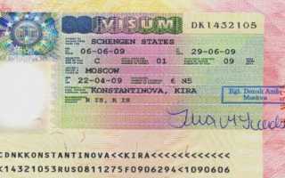 Норвежская виза: виды документов, способы получения